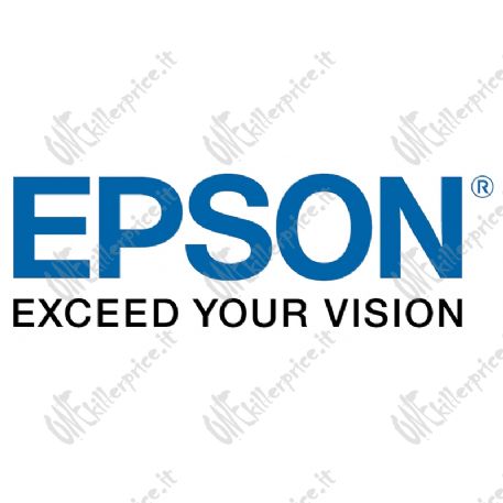 Epson SIDM Black Ribbon Cartridge